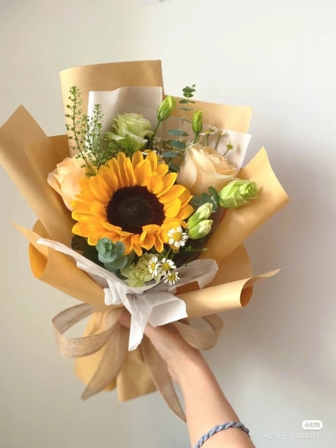 Hướng dương mix
