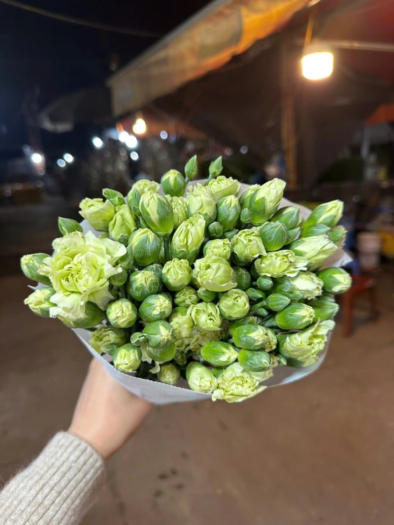 Phăng Chùm  3