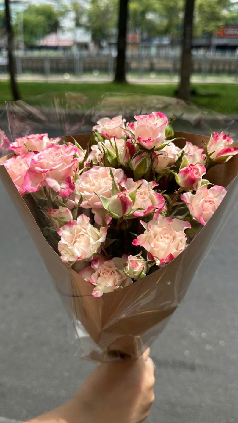 Hồng Chiết Xạ  5