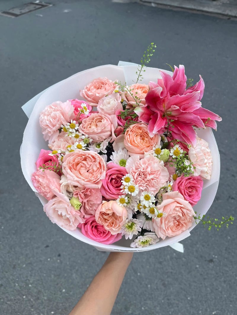 Mây Hồng 3