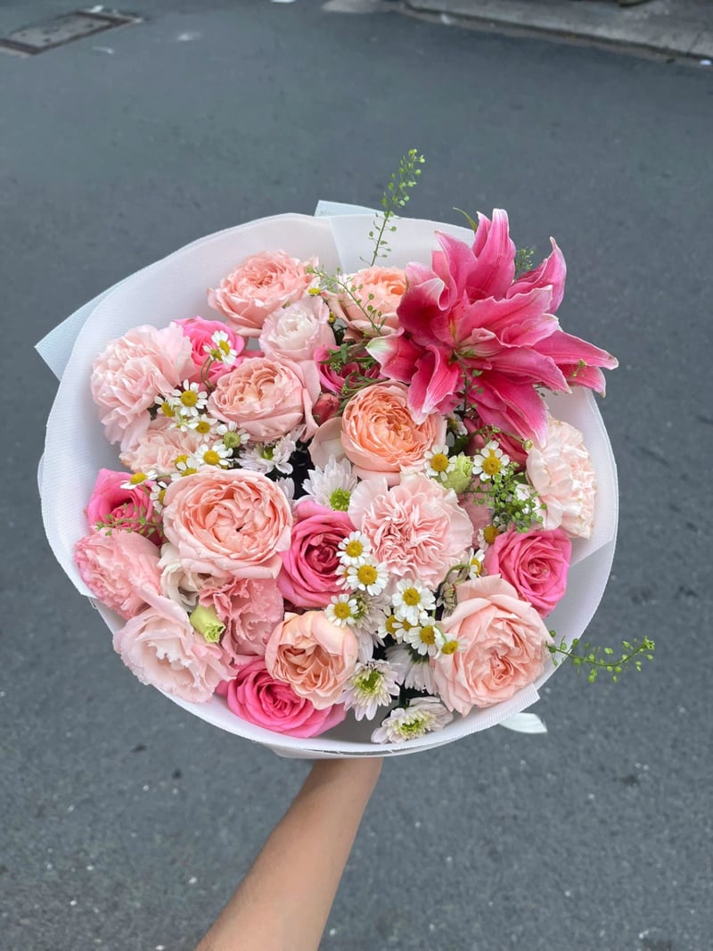 Mây Hồng 4