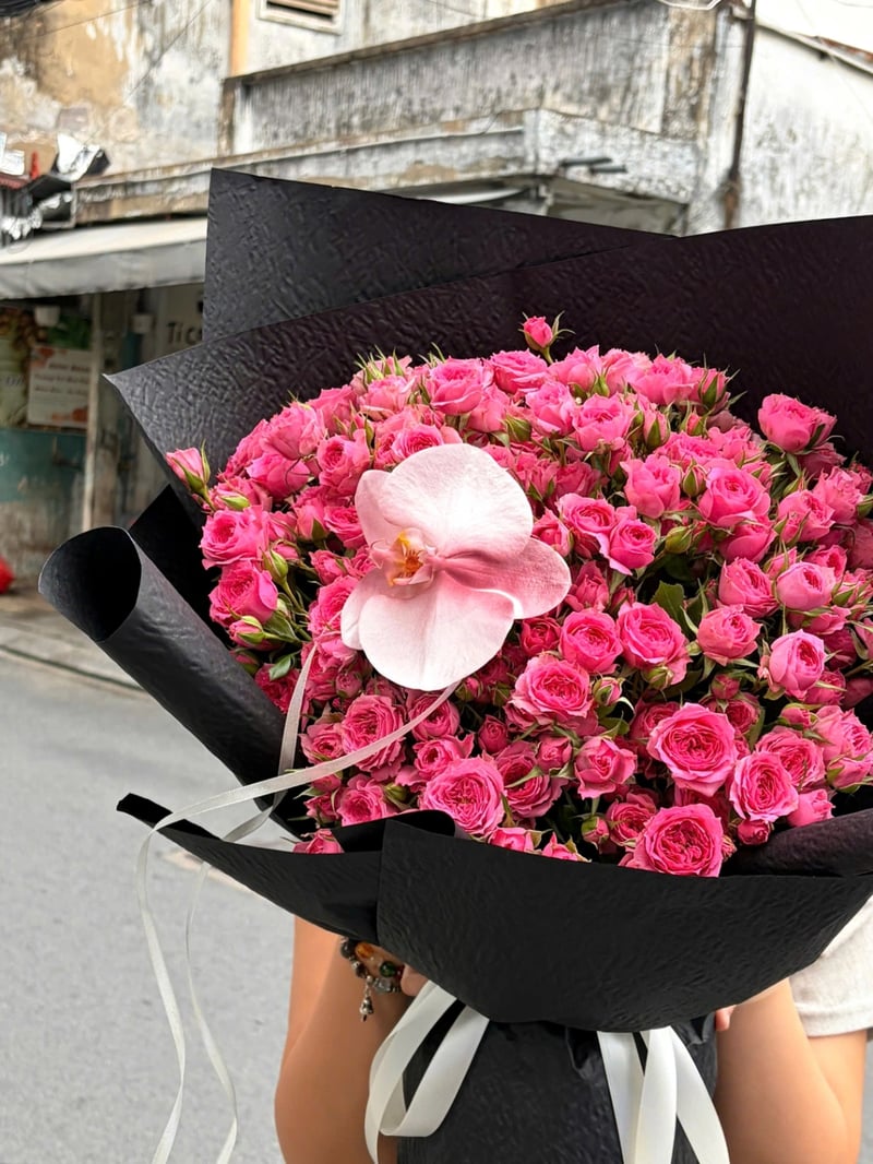 Sophia và Lan Hồ Điệp 2