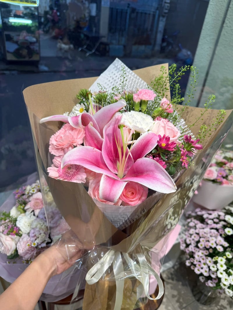 Ánh Mây Hồng 4