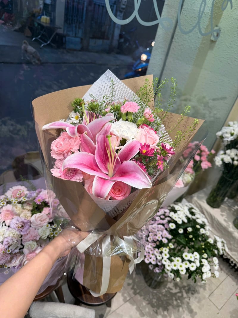 Ánh Mây Hồng 3