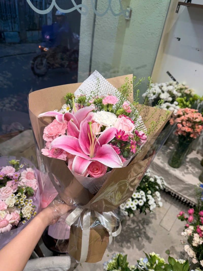 Ánh Mây Hồng 2